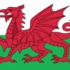 Wales Welsh Dragon Flag 5ft By 3Ft 2 Wales Welsh Dragon Flag 5ft By 3Ft -Roadventure Gear 625cb243e2a7fdda424a1f668b1ae938
